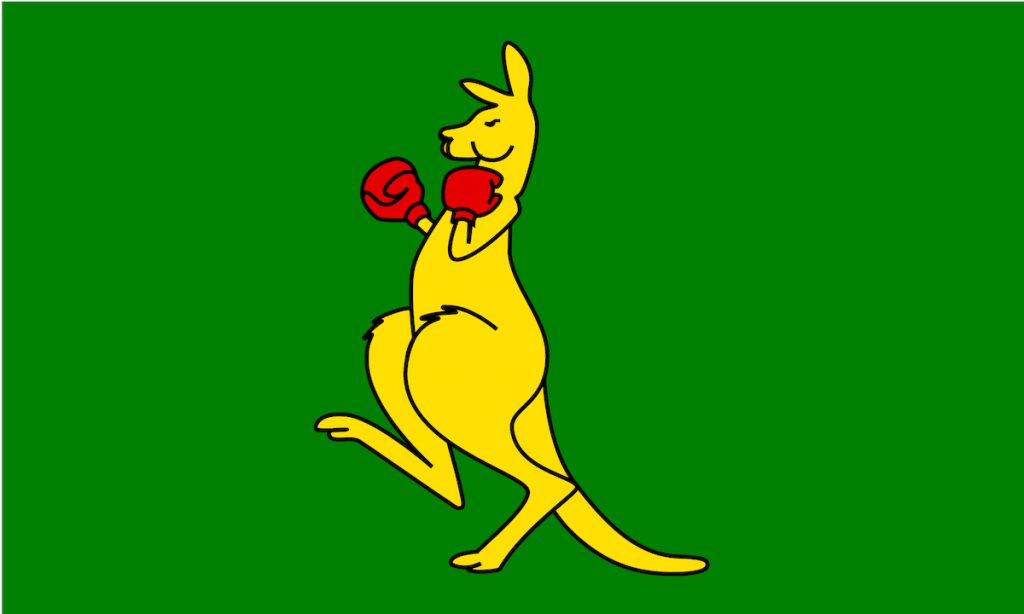 Do not wave one of those bullshit Australian boxing kangaroo flags... it's not 1983 and this isn't sailing.